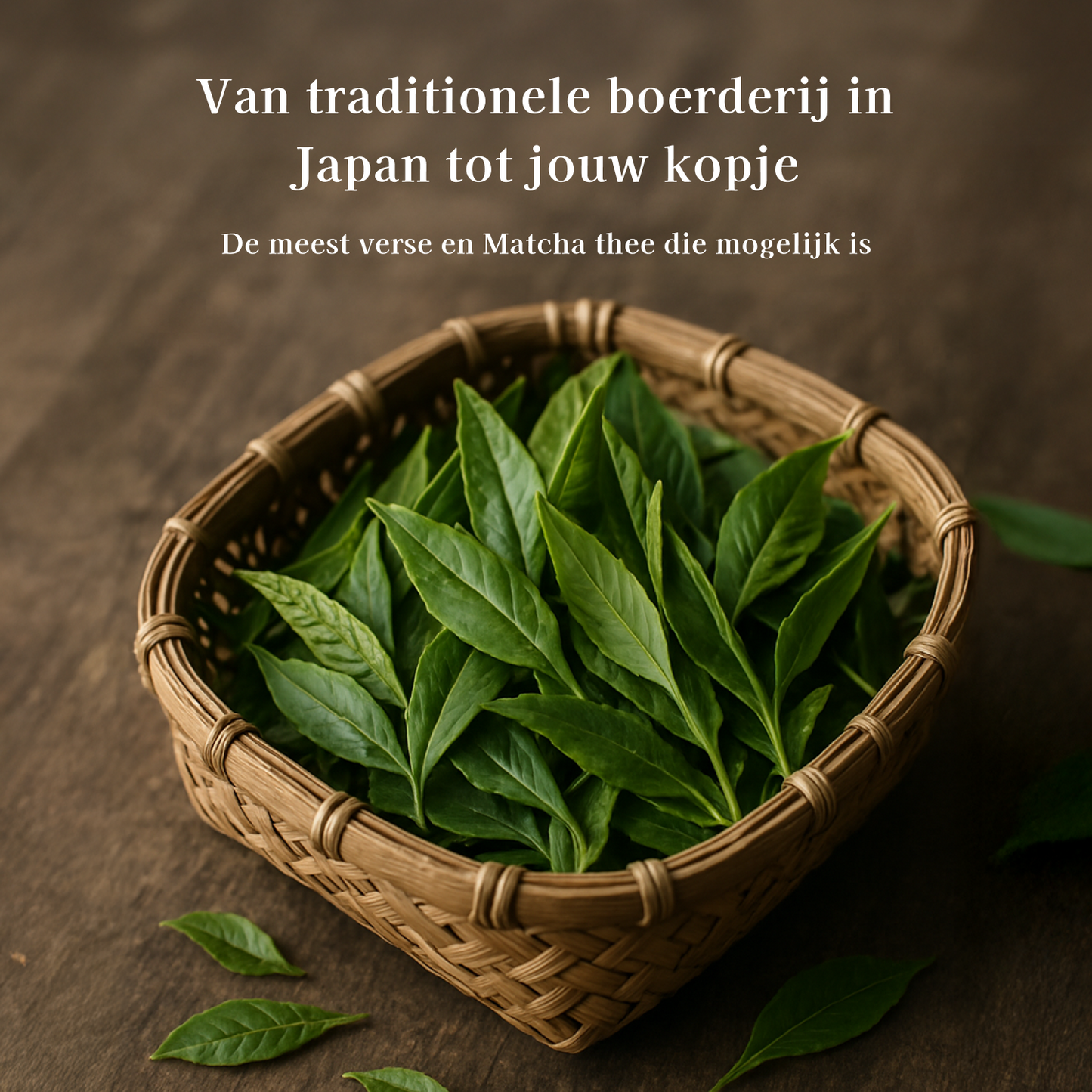 Ceremonial Matcha 40g